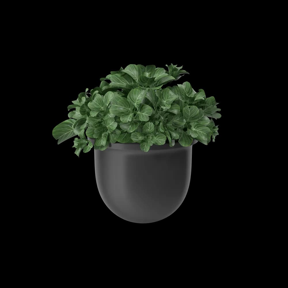 The Plant Pot is a stylish container for your favorite plants. With a sleek design, it complements your indoor or outdoor garden, adding a modern touch to your plant display.